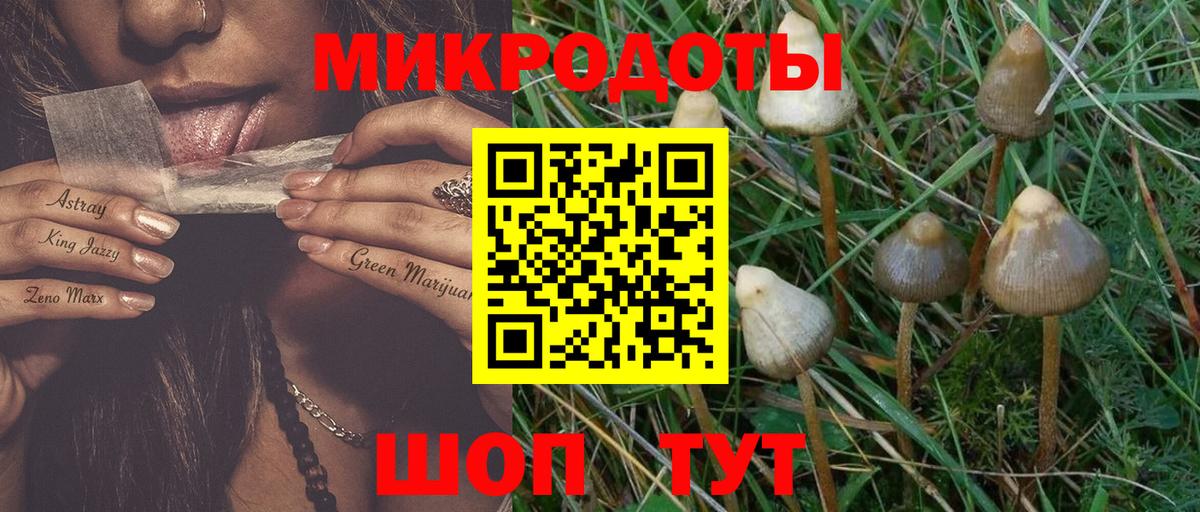 Псилоцибиновые грибы мицелий Углич